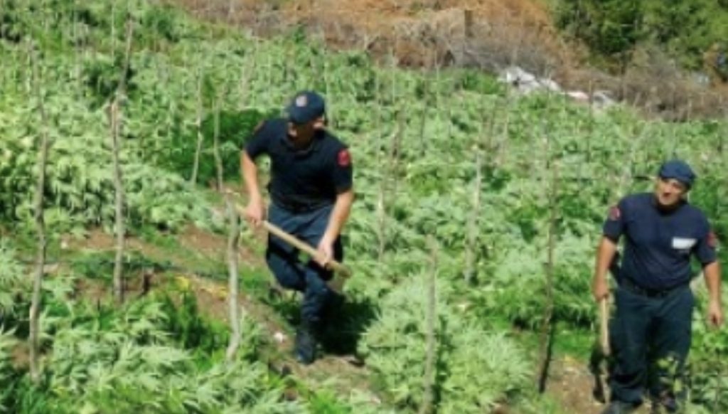 Skrapar e Poliçan/ Arrestohen 2 persona