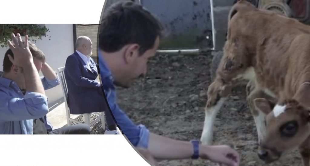 “Gjej lopën deri të hënën”, çfarë u detyrua të gëlltisë Veliaj me urdhër të Ramës
