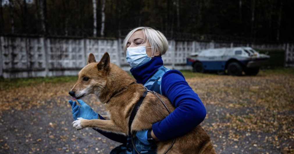 Qeni mund të zbulojë  kur një njeri është me koronavirus nga era …