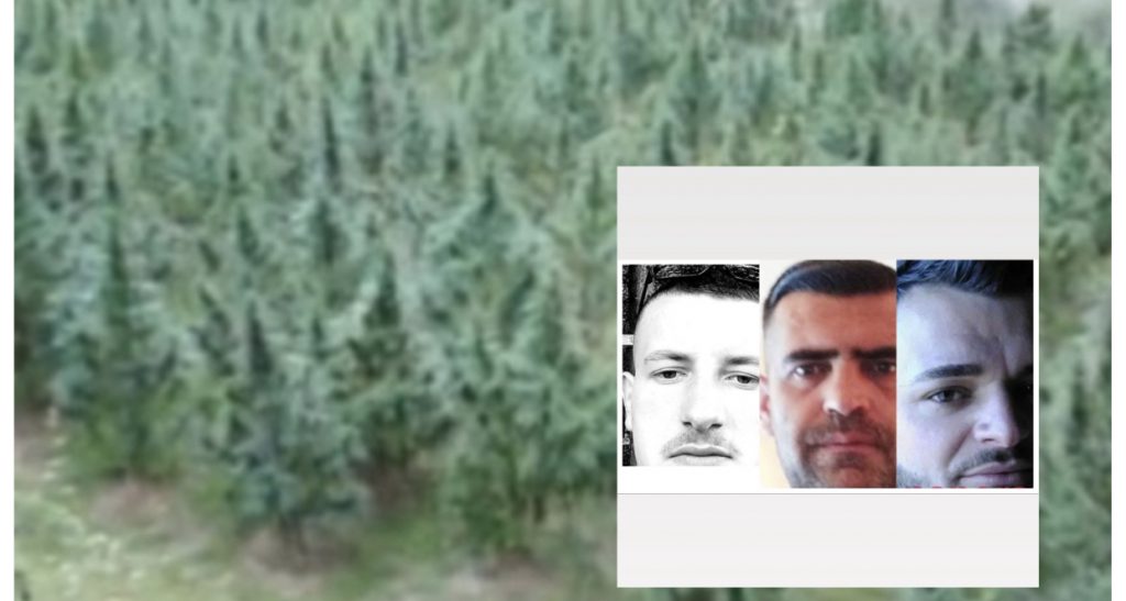 Detaje nga ngjarja e rëndë në Malësinë e Madhe, telefonata e autorit të dushuar me vëllain në Itali