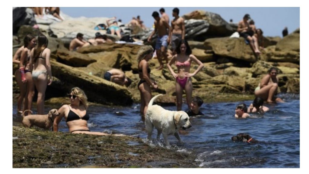 Verë e nxehtë në Sidnei, temperatura arrin në 40 gradë