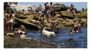 Verë e nxehtë në Sidnei, temperatura arrin në 40 gradë