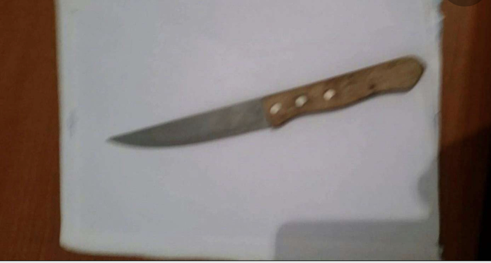 Mallakastër, vajza godet me thikē bbain dhe vëllanë 27 vjeçar