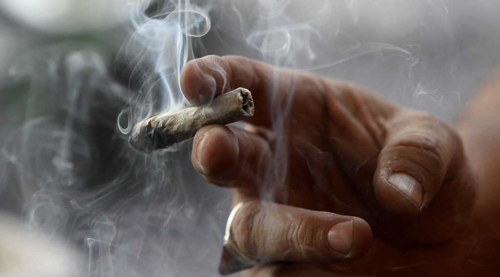 UNODC: Shqipëria kryeson në Europën Juglindore si vend origjine, nisjeje dhe tranziti të cannabis