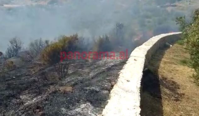 Zjarr në kodrat e Radhimës, rrezikohen edhe banesa. Dy zjarrfikëse dhe banorët në “luftë” më flakët