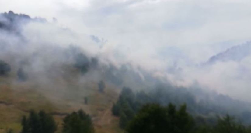 Zjarret ne Vlorë, gjashtë persona në pranga