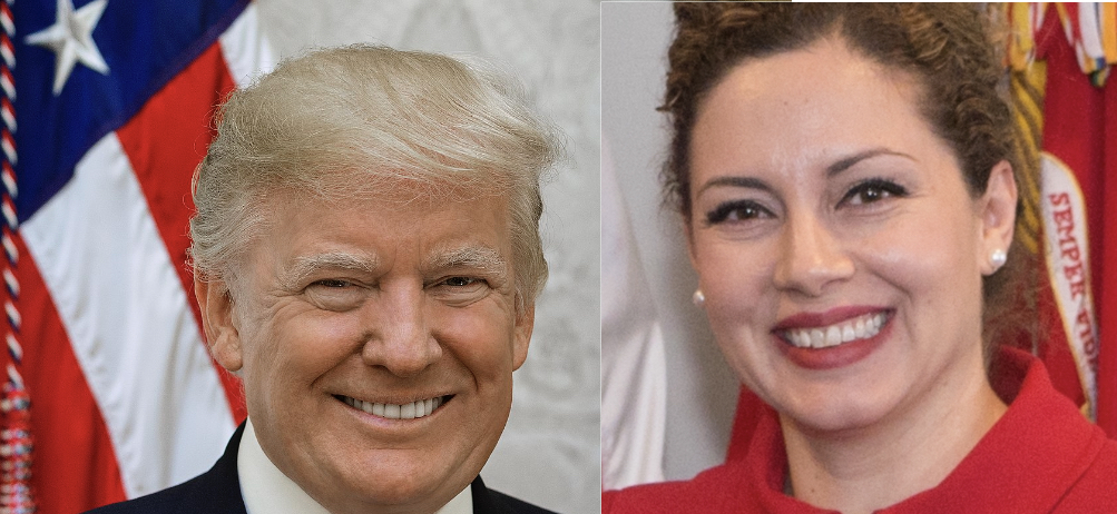 Imagjinoni sikur Olta Xhaçka ti ndalojë hyrjen në Shqipëri Donald Trump dhe familjarëve të Tij