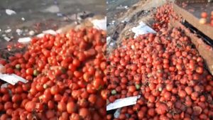 Pesticide pa limit/ Makutëria e tregtarëve dhe padituria e fermerit bombardon me helme konsumatorin