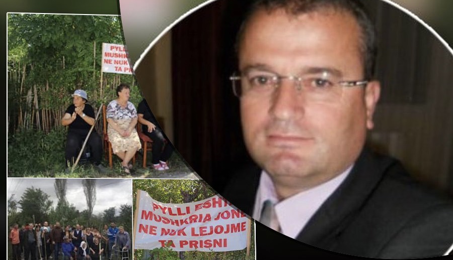 Lumi dhe plepat e Brukës në thertore – lufta që shteti po i bën ligjit!