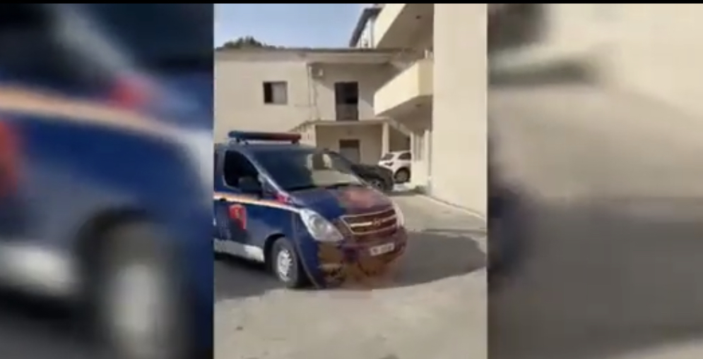 Ishte në kërkim ndërkombëtar për vrasje, u arrestua në Lushnje