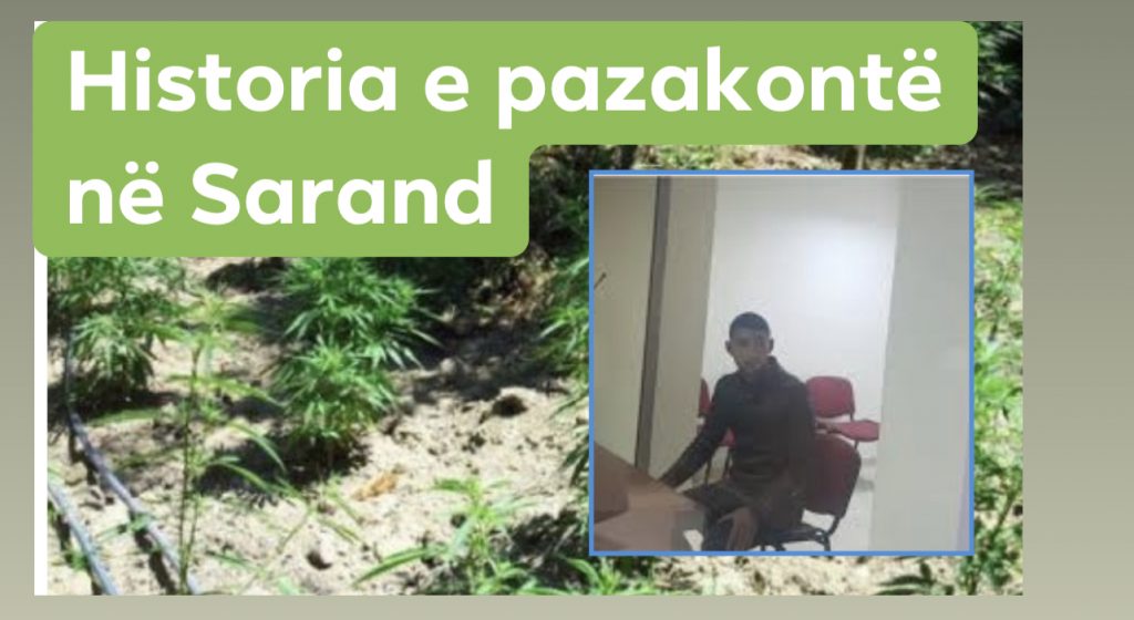 Nipi bind gjykatësin: Lironi dajën, drogën e mbolla unë