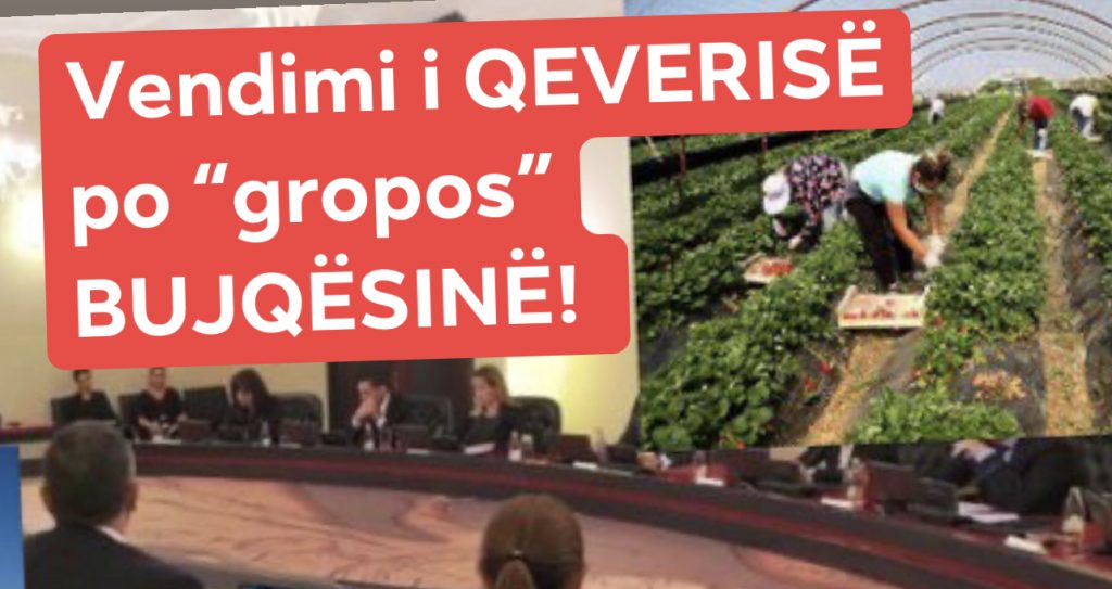 Kujt po i shërbehet, industrisë prodhuese apo lobingjeve të importit?