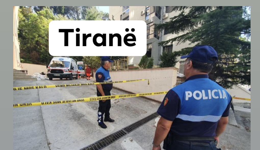 Gratë e një pallati përfshihen në sherr masiv