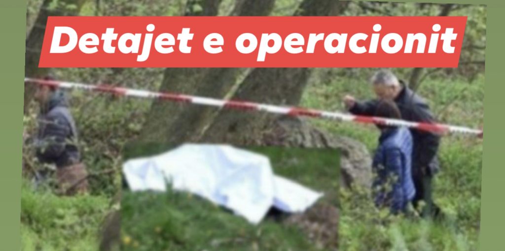 Si u gjet në malin me gropa biznesmeni i ekzekutuar, roli i Ferdinand Rrushit,  u vra një ditë pasi…
