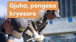 Pse nuk vjen fuqia punëtore e kualifikuar në Gjermani?
