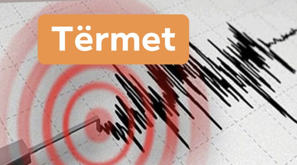 Tërmet në Shqipëri