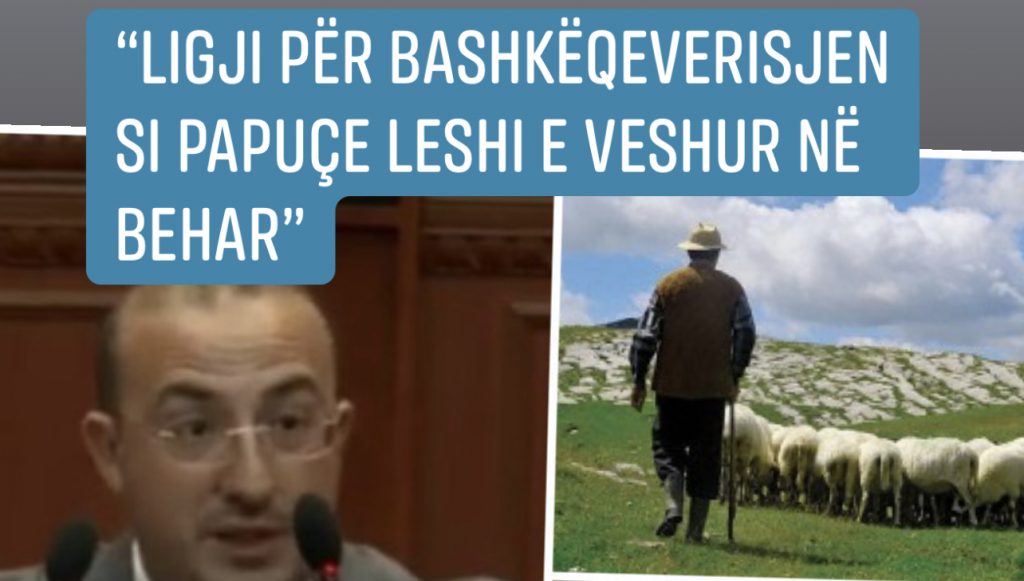 Deputeti i PD-mazhorancës: Na promovuat një akademi, nuk na specifikuat kush do merret me dele e kush me dhi