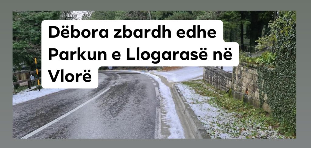 Rritet niveli i ujit në lumin Vjosë, përmbytet tregu i gjësë së gjallë