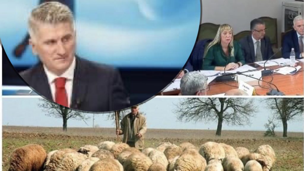 Ta gëzoni Akademinë e re për barinjtë!