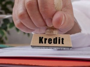 Shteti garant për kreditë e privatit, propozohet ngritja e një Agjencie te re