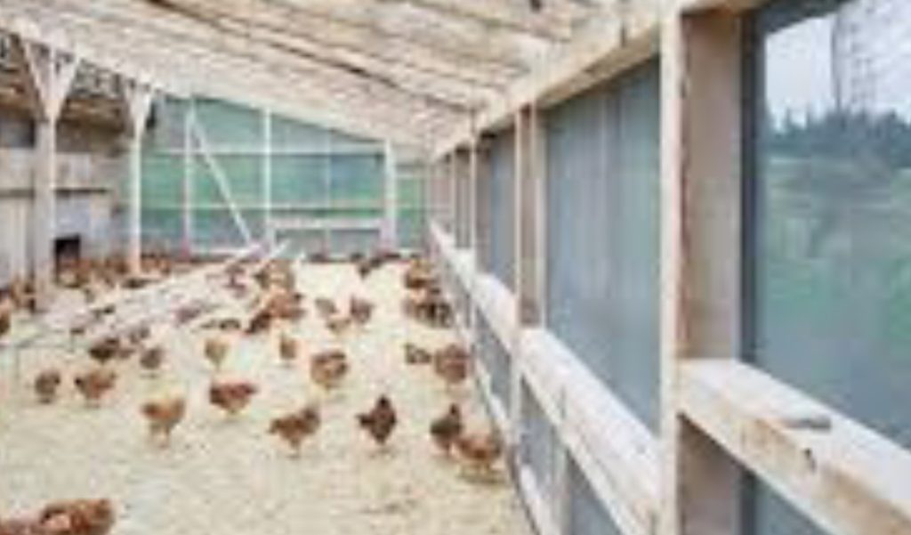 Pasuri të krijuara nga aktiviteti kriminal/ SPAK konfiskon 1 milionë euro, një biznes pularie dhe 5 automjete