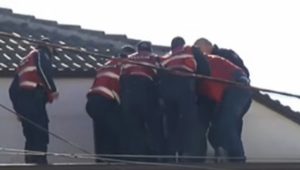 Dajaku tek 5 Maji është thjesht biznes