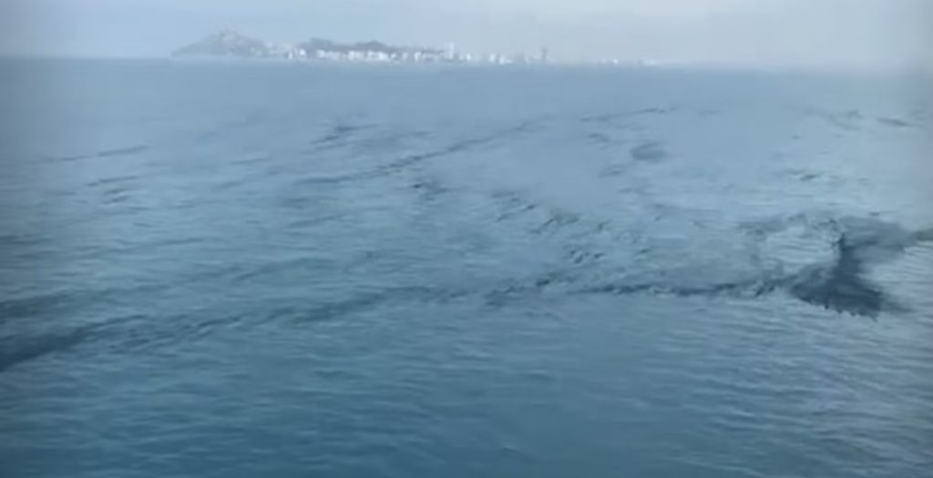 VIDEO-LAJM / Si po ndotet deti pranë Durrësit