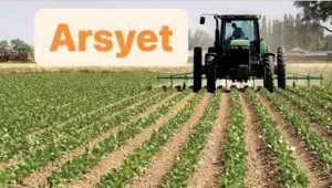 Fermerët po lënë investimet në Shqipëri dhe po ikin sërish në emigracion