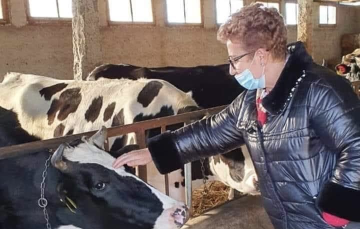 DEPUTETËT, MILIONA LEKË KARBURANT, TELEFON E DIETA!