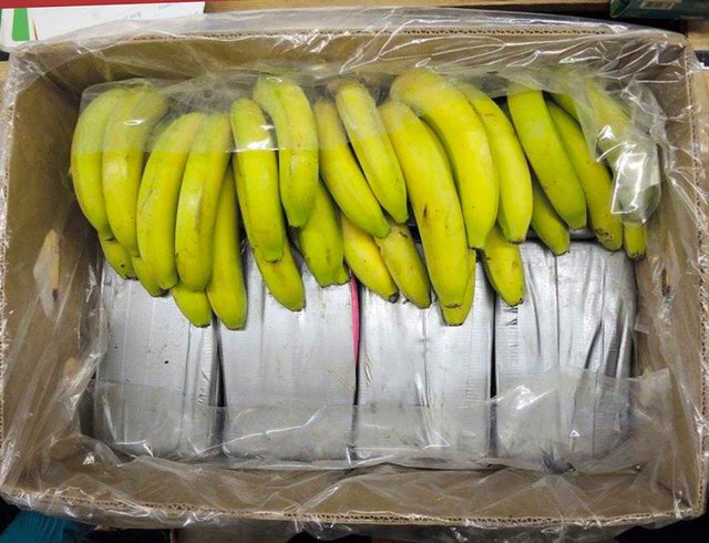 Kokainë në banane në Portin e Durrësit, arrestohet administratori i firmës “Alba Exotic Fruit”