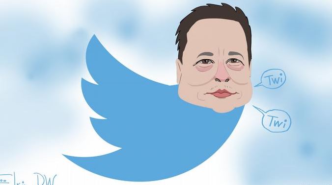 Bleu  Twitter, ja me çfarë po përballet Elon Musk