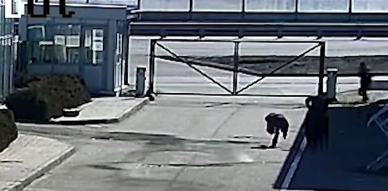 Publikohen pamjet e rënda, ja momenti kur rusët vrasin dy civilë ukrainas
