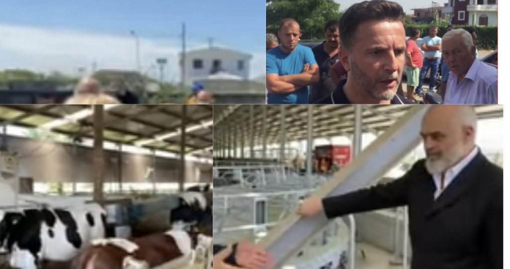 Braçe replikon me Ramën: Lopët  s’i numëroj unë, i jam referuar INSTAT-it