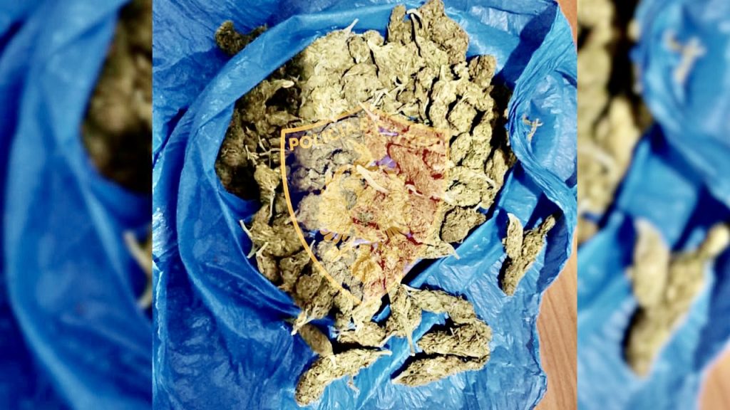 Operacioni që çoi në pranga 23-vjeçarin, shpërndante kanabis në zona të ndryshme të Tiranës