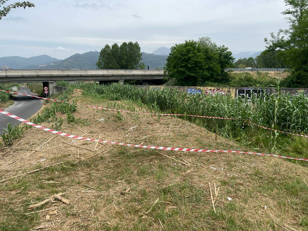 ITALI/ Gjendet trupi i pajetë i një 35-vjeçareje. Dyshohet se është shqiptare