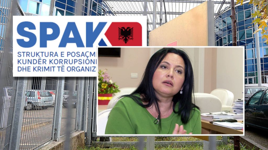 Arka me peshk e Rovena Vodës dhe “peshqit e mëdhenj” që çanë rrjetën e SPAK-ut