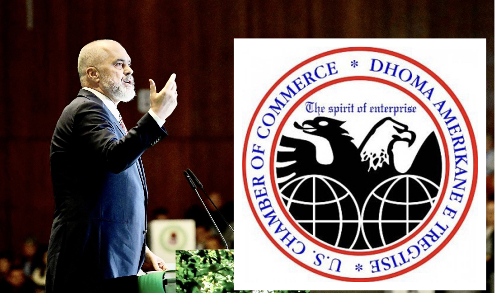 Dhoma Amerikane e Tregtisë në Shqipëri reagon ashpër lidhur me projektligjin e amnistisë fiskale