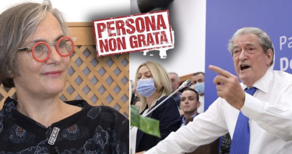 Ambasadorja e Francës në Shqipëri:  Unë po vëzhgoj ç’bëjnë shqiptarët me Berishën…