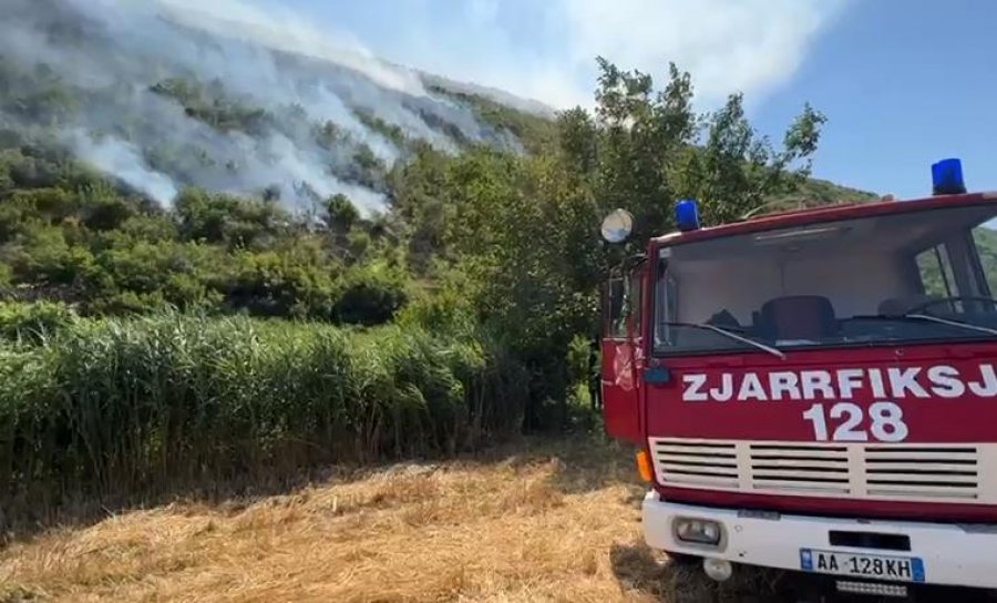 Zjarr i madh në malin e Torovicës në Lezhë
