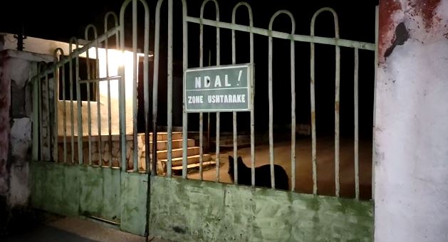 Policia gjen një aparaturë spiunazhi në çantën e 24-vjeçarit rus që u arrestua pas sulmit në Gramsh