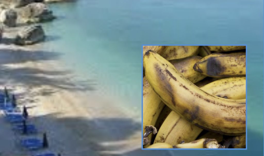 Avash o lamash, se bananja kushton kur e ha me pamje nga dëti!