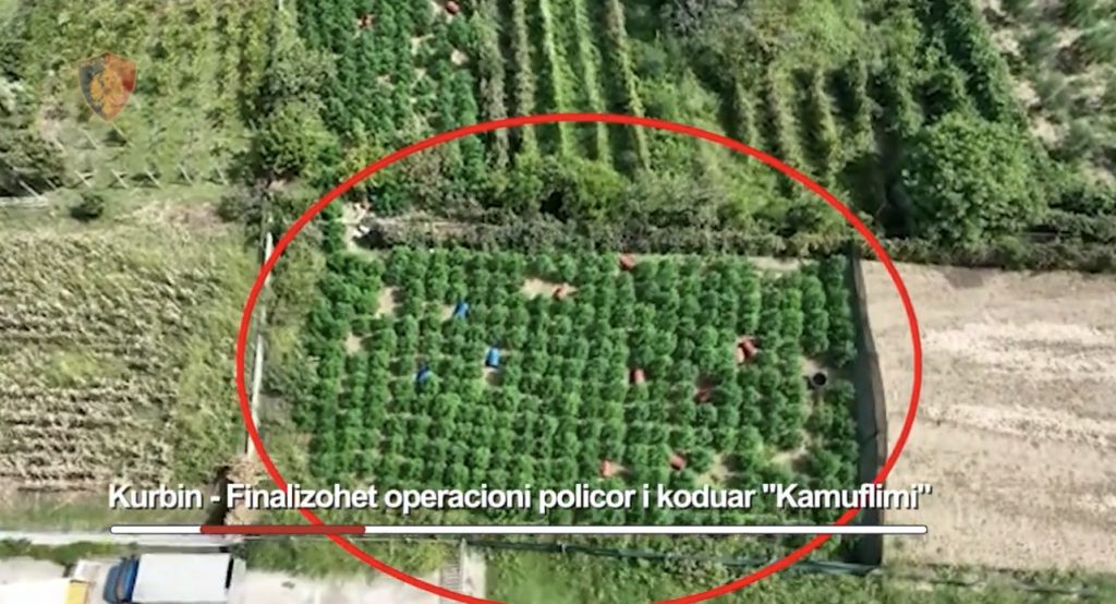 Pamjet nga droni, çojnë në pranga  një 20 vjeçar