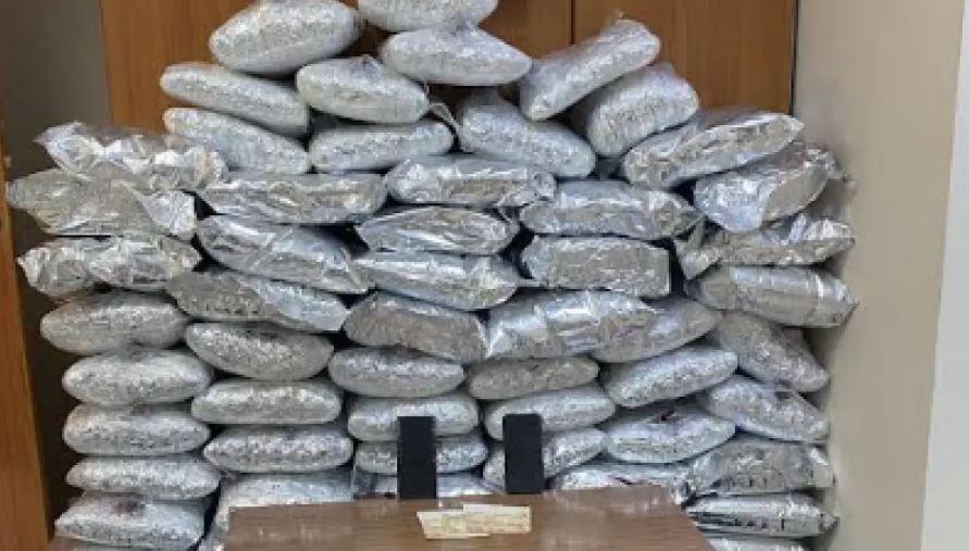 Sekuestrohen 74 kg kanabis në kufi me Shqipërinë