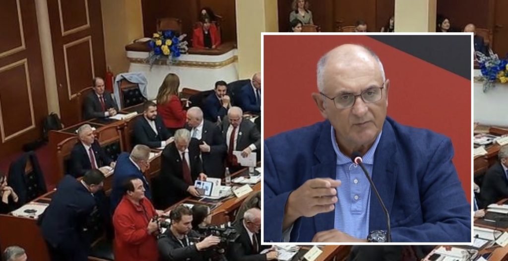 Vasili: Edhe deputetët e Kosovës paguan taksën për të ardhur në shtetin amë