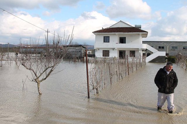 Emergjencat: Evakuohen bagëtitë në fshatin Kishavec, DIbër
