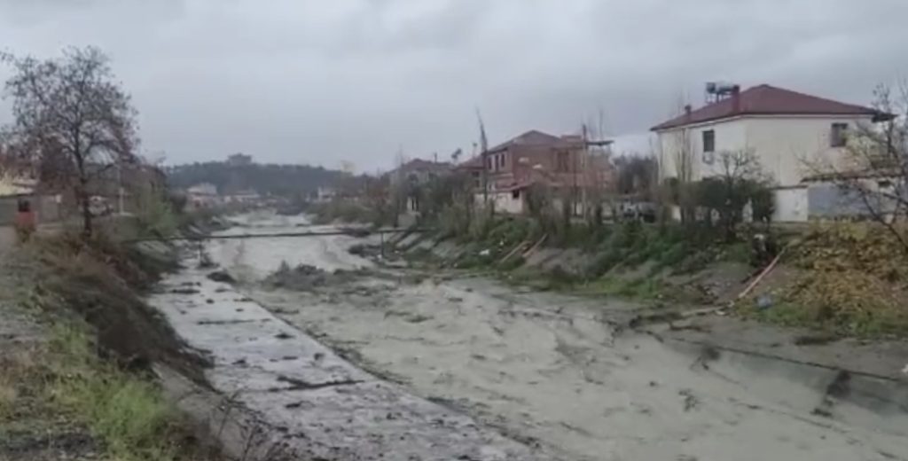 Zaranika del nga shtrati në Elbasan
