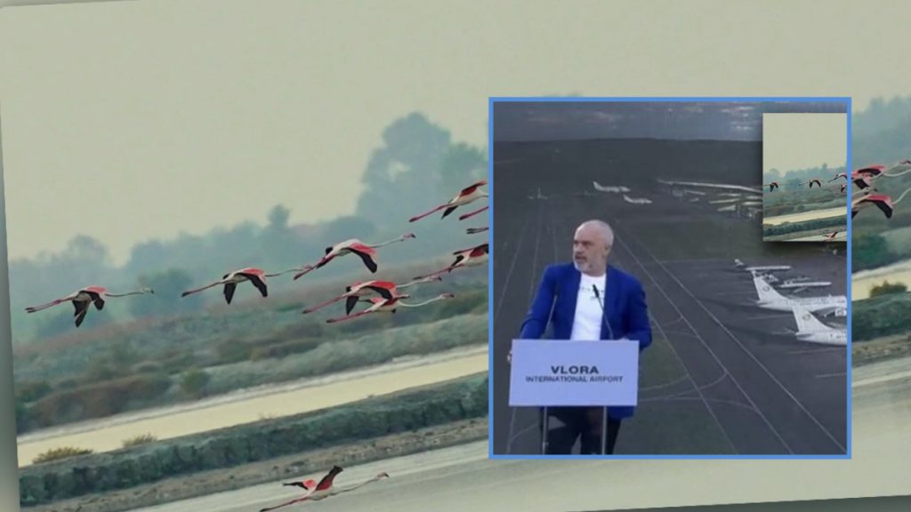 Komiteti i Konventës së Bernës kërkon pezullimin e punimeve për aeroportin e Vlorës