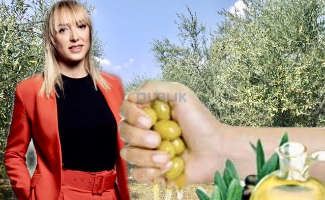 Faktet që e akuzojnë Krifcën e “vajit të ullirit”