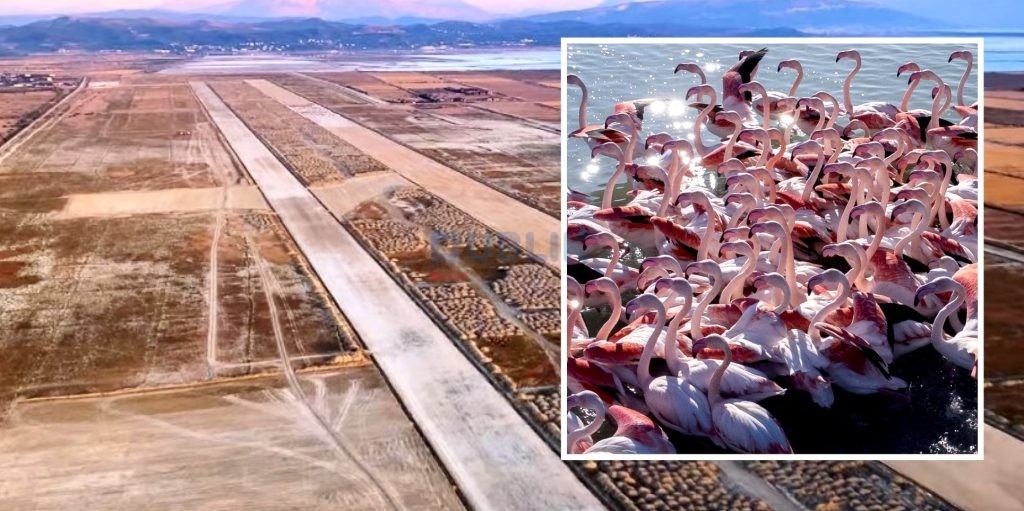 Reuters: Aeroporti në Nartë rrezikon strehimin e rreth 200 lloje shpendëve, nuk zbatohet ligji