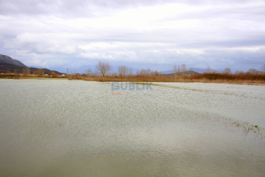 Mbi 110 ha tokë e përmbytur në Shkodër